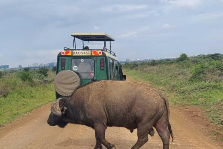 Nairobi National Park Safari Game Drive in a 4x4 Nairobi: National Park 5 Hours Safari in a Shared 4x4 Jeep