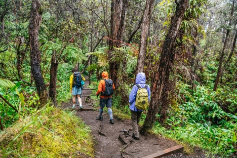 Big Island: grupo del parque nacional de los volcanes o caminata privadaTour en grupo