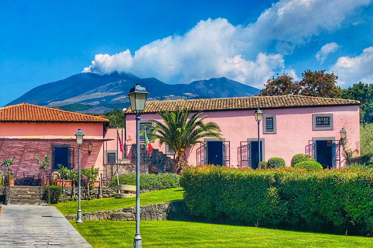 Enoteca dell'Etna: degustação de Iemu Spizzicannu