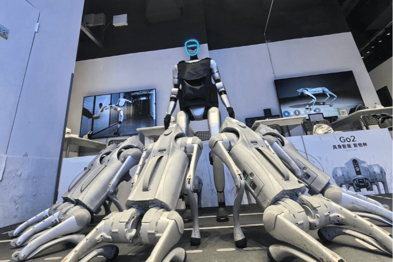 Shanghai: High Tech of Robots AR E-Car Half-day Exploration