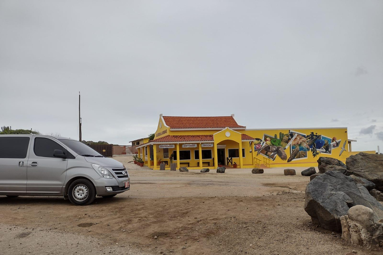 Destaques da excursão particular de Aruba em ônibus aberto