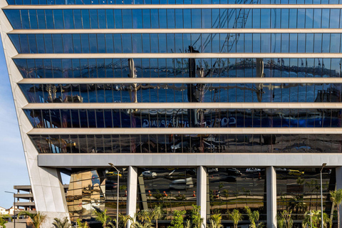 Rio de Janeiro: Modern Architecture Full-Day Tour & Transfer