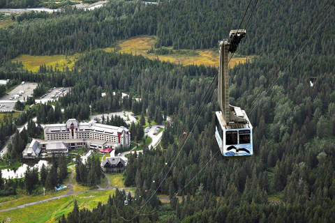 Anchorage: Mount Alyeska Tram & Wildlife Center Tour