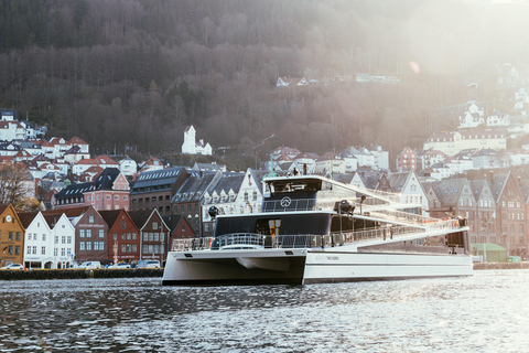 Bergen: Fjord Cruise with Audio Guide