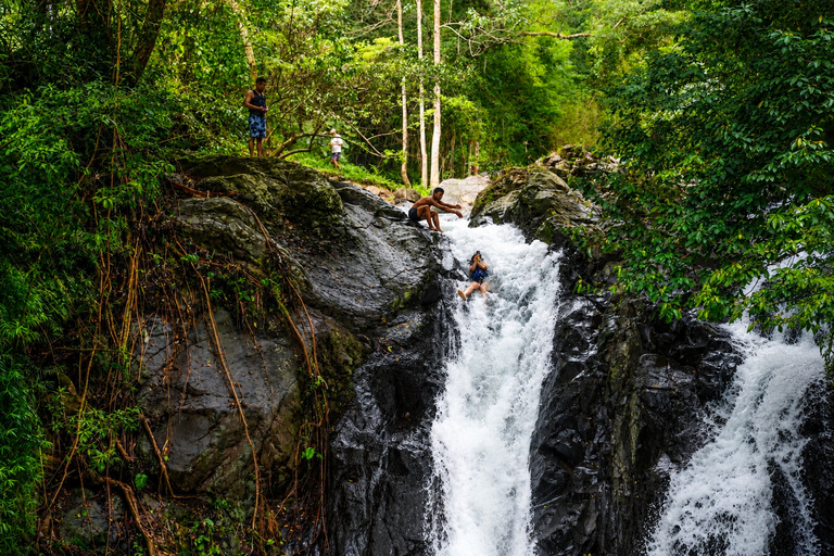 North Bali: Dolphin Swim, Snorkeling, & Waterfall Cliff Jump Small Group With Hotel Transfer Central Bali
