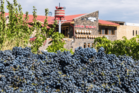 Khor Virap, domaine viticole d'Areni, Noravank, ville de Jermuk, chute d'eauVisite privée avec guide