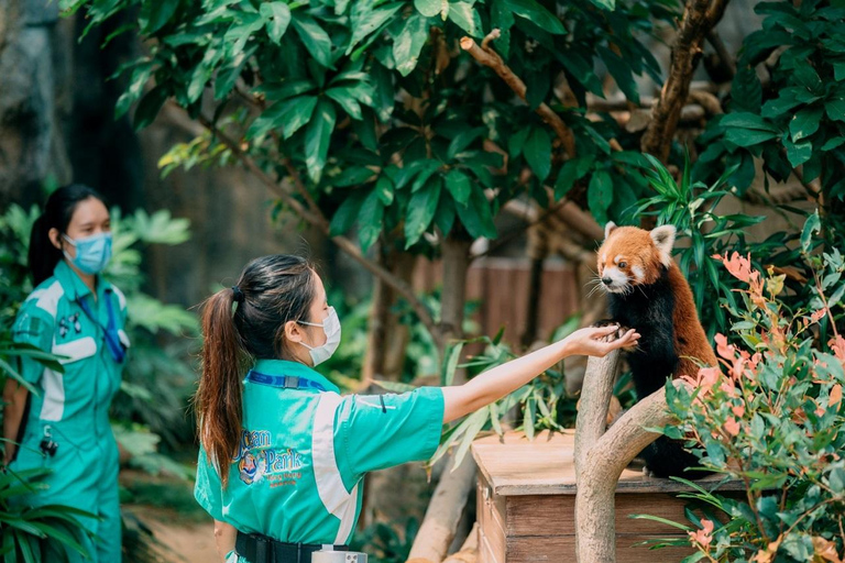 Hong Kong: Ocean Park inträdesbiljett1 dagsbiljett (OSTK8672)