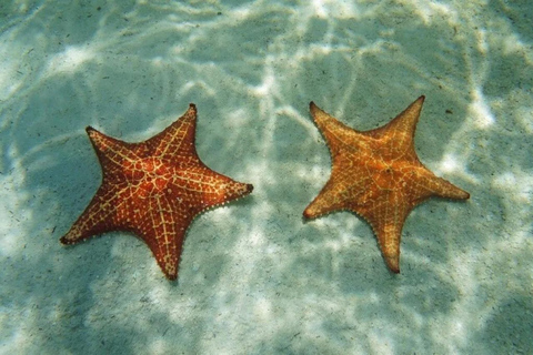 Tour de Playa Estrellas
