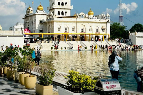 Delhi Famous Temples 5-Hour Guided Tour with Skip-the-Line Car+Driver+Tour Guide+Entry Fees