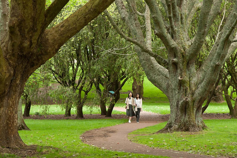 Halve dag Auckland City Sightseeing Tour in kleine groep