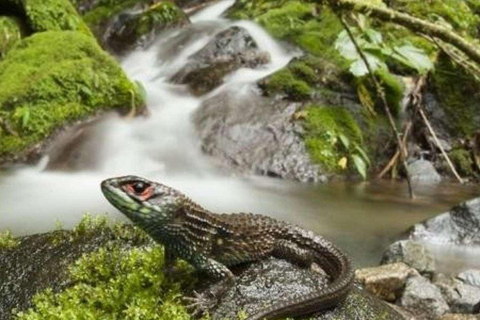 From Cusco | Manu Jungle Tour 7D/6N | Wonders of Manu