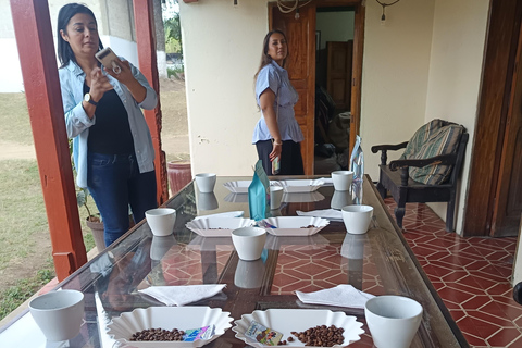 Guatemala City: Volcano-Grown Coffee Tasting Experience