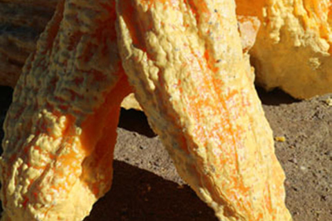 Banyuwangi : Mt Ijen with tour guide and Transfer Service