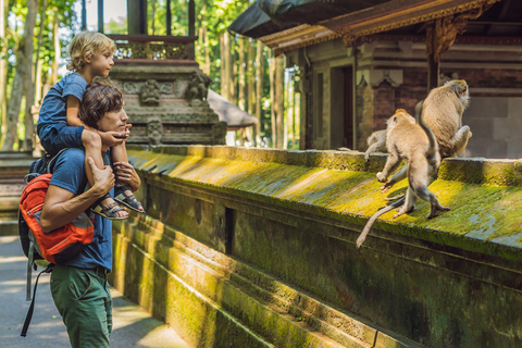 Ubud: Monkey Forest, Rice Terrace, Waterfall Private Tour Private Tour Without Entry Tickets