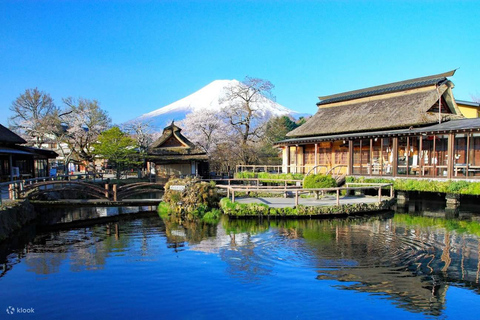 Tokio: Góra Fuji i wycieczka do Hakone z anglojęzycznym kierowcą