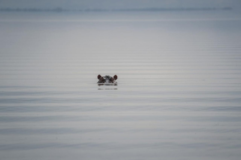 3 Day Safari in Akagera National Park