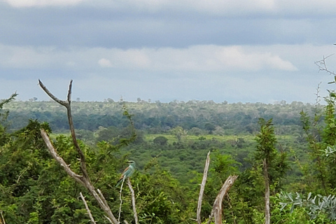 From Maputo: Kruger Park Safari & Elephant Interaction Tour