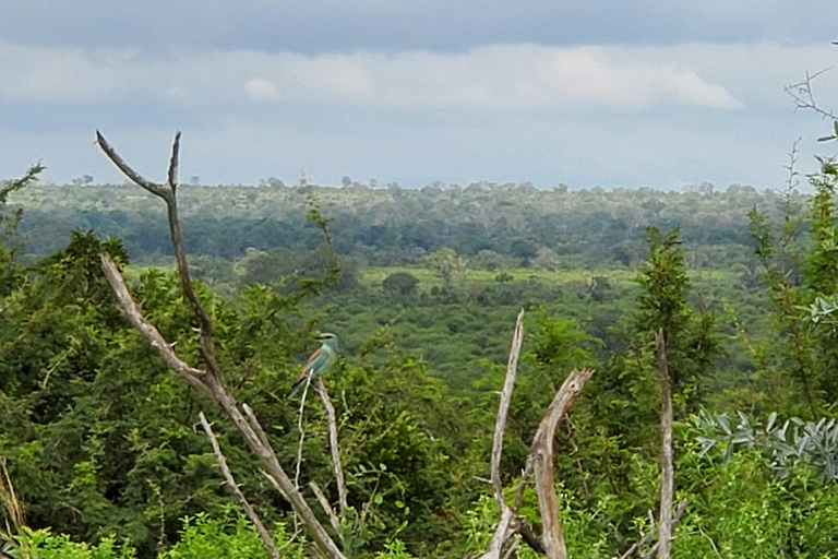 From Maputo: Kruger Park Safari & Elephant Interaction Tour