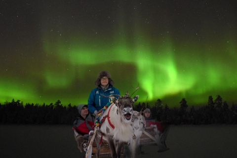 Rovaniemi: 2km Aurora Reindeer Safari Through the Forest