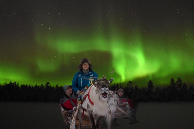 Rovaniemi: 2km Aurora Reindeer Safari Through the Forest