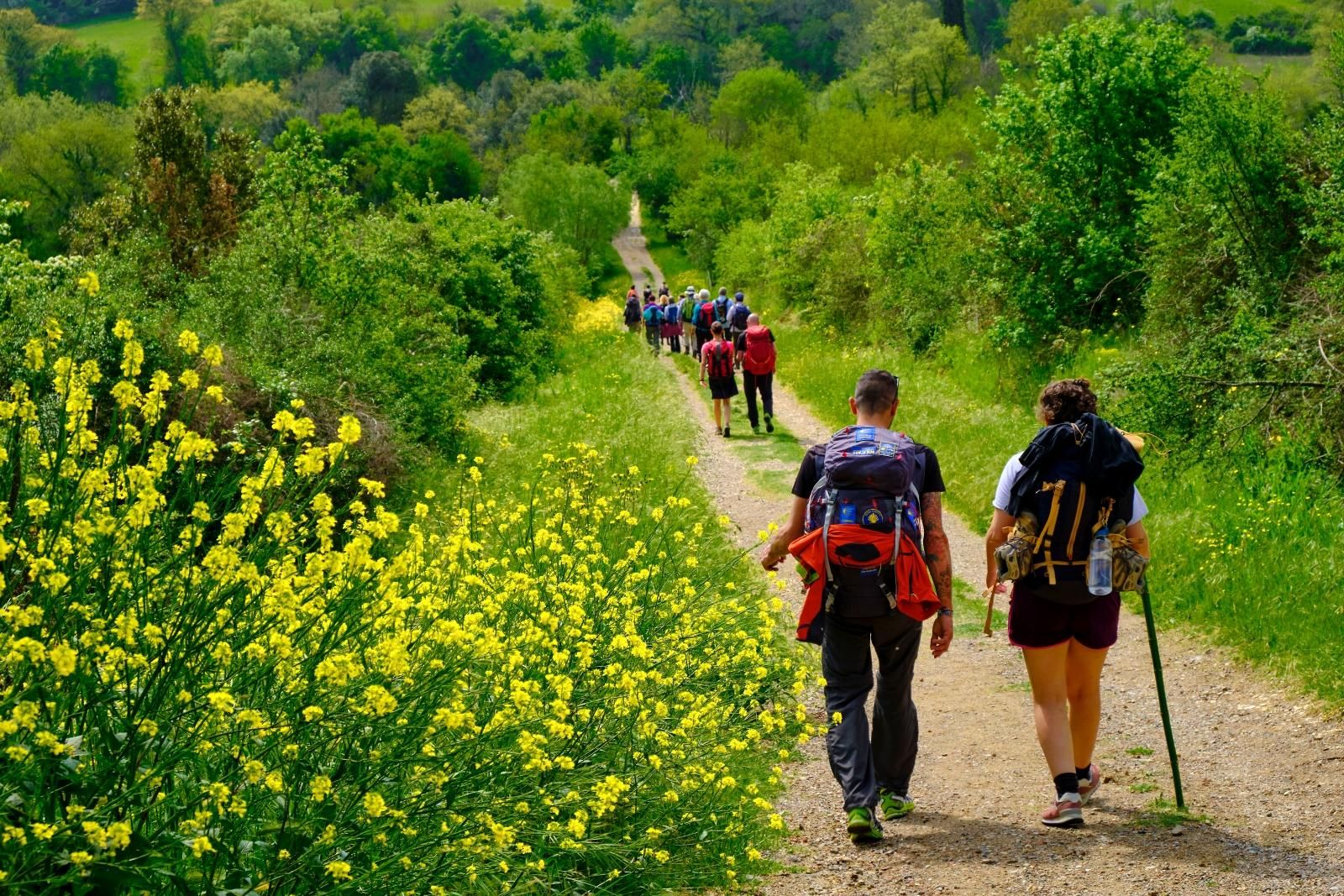 Lucca: Monte Serra Trekking & Verkostung in der Tenuta Santallago