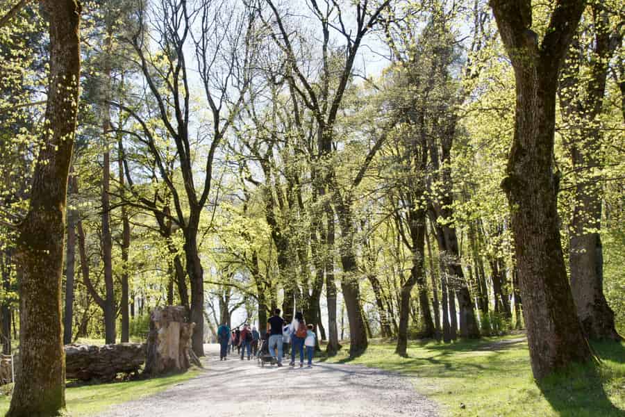 Oslofjord: 3-Insel-Bootsfahrt – Sommerkultur & Meeresbrise. Foto: GetYourGuide