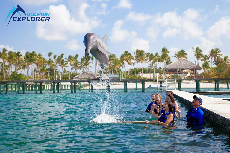 Aventure de nage avec les dauphins à Punta Cana : 40 minutes d&#039;expérience avec les dauphins