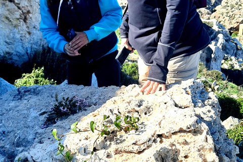 Gozo avtäckt: Guidad vandring med bouldering