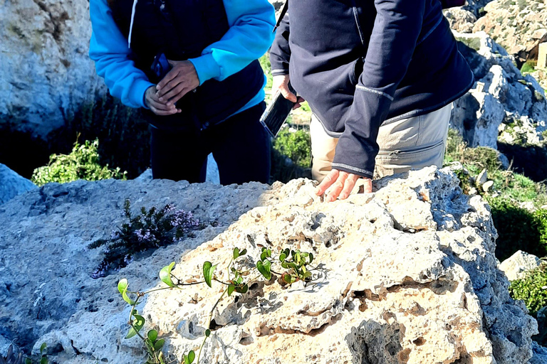 Gozo svelato: Tour guidato di escursionismo con bouldering