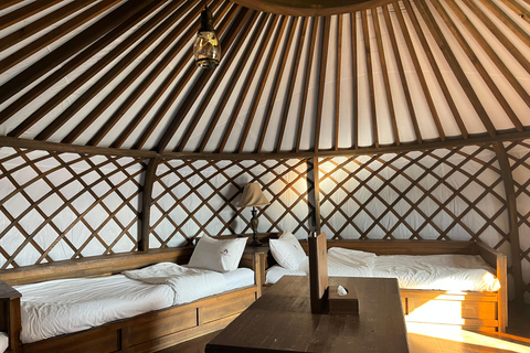 Terelj: Premium Mongolian Ger (Yurt) Overnight Experience Chinggis Khaan Statue + Ger