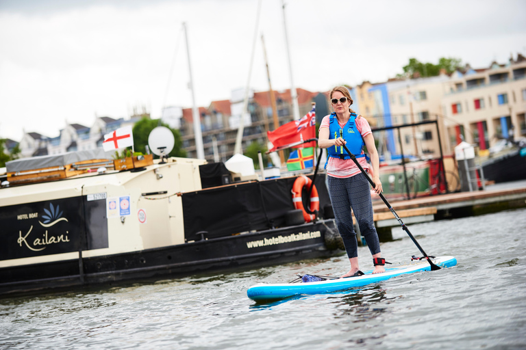 Bristol: Tour del porto in paddleboard