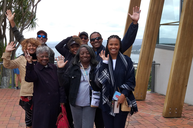 Wellington: City Highlights Guided Tour with Cable Car Ride