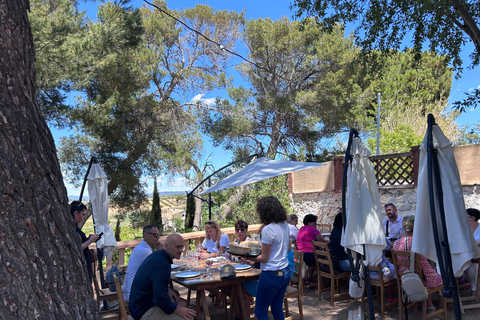 Depuis Valence : Randonnée privée à Buñol avec dégustation de vin