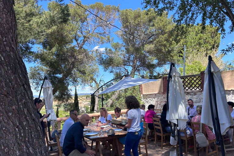 Från Valencia: Vinprovning och besök i Cueva de Turche