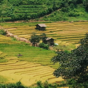 Sapa: 2-Day Trekking Tour with Red Dao Herbal Bath & Massage