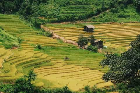 Sapa: 2-Day Trekking Tour with Red Dao Herbal Bath & Massage - Image 3