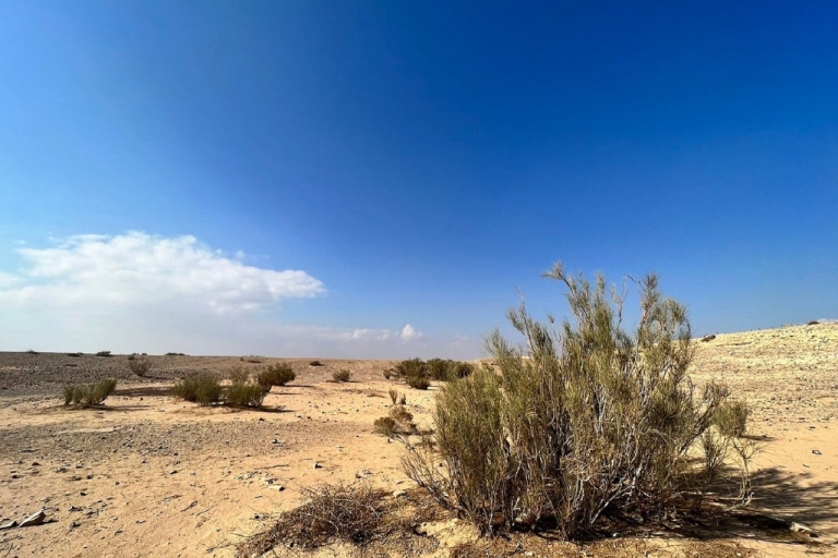 Ammán - Excursión de un día a los Castillos del Desierto y la Reserva del Humedal de Azraq