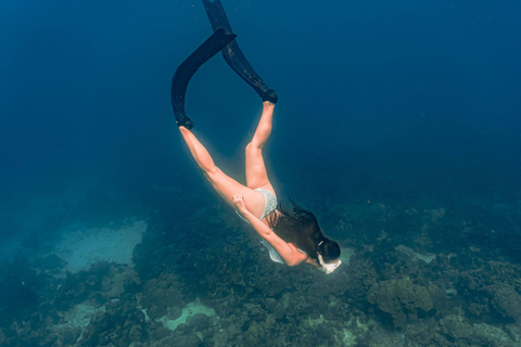 Boracay Discovery Free Diving Experience