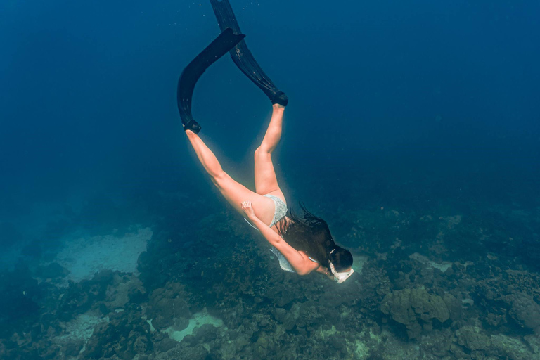 Boracay Discovery Free Diving Experience