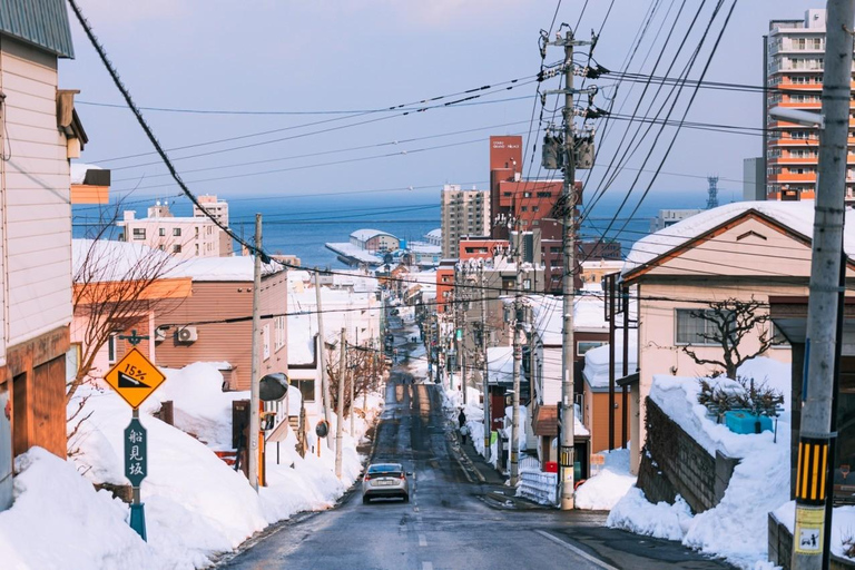 From Sapporo:Otaru Canal&Coastal Charm Private Customiz Tour MAX 9PAX