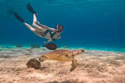 Bonaire: Tour particular VIP de snorkeling com fotos subaquáticas