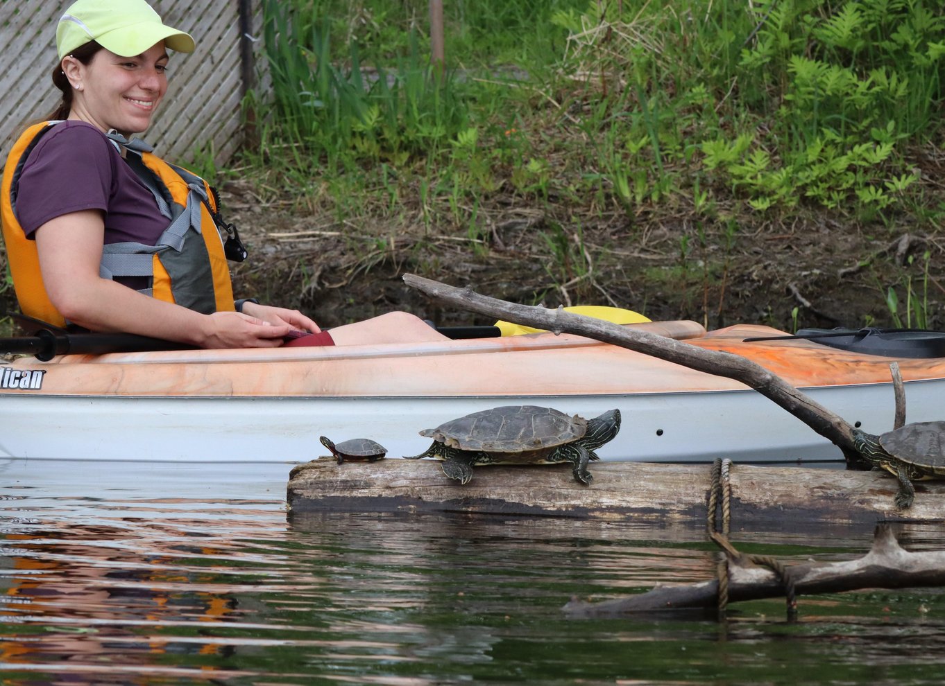 Ottawa: Kajaktur i økologisk reservat med skildpaddeobservationer