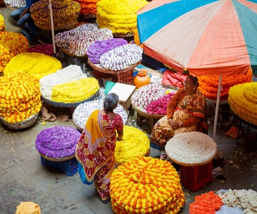 Bangalore: Tour dei punti salienti della città