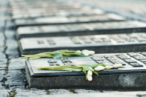 From Krakow: Auschwitz &amp; Birkenau Guided Tour with LunchBoxGuided Tour with Transportation from Meeting Point