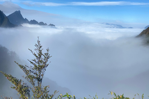 Sapa: Cat Cat Village, Moana Sapa, & Fansipan One-Day Tour Visit Cat Cat, Moana - Half Day Tour