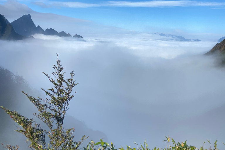 Sapa: Cat Cat Village, Moana Sapa, & Fansipan One-Day Tour Visit Cat Cat, Moana - Half Day Tour