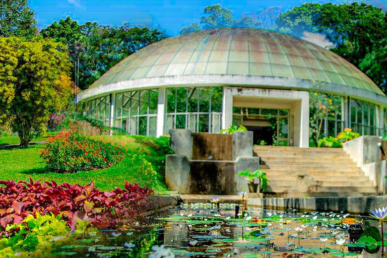 Sri Lanka: 2-dniowa wycieczka do Sigiriya, Dambulla i Kandy