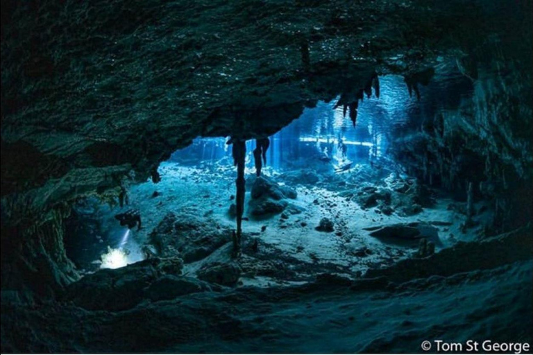 Von Cancun aus: Dos Ojos Cenote TaucherlebnisTauchen in der Dos Ojos Cenote