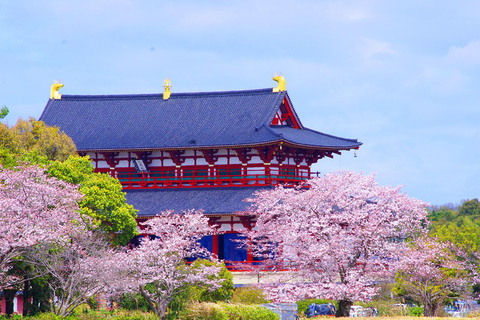 A Thousand Blossoms & Deer: Nara Spring Day Tour