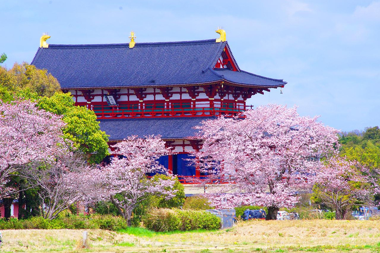 A Thousand Blossoms & Deer: Nara Spring Day Tour